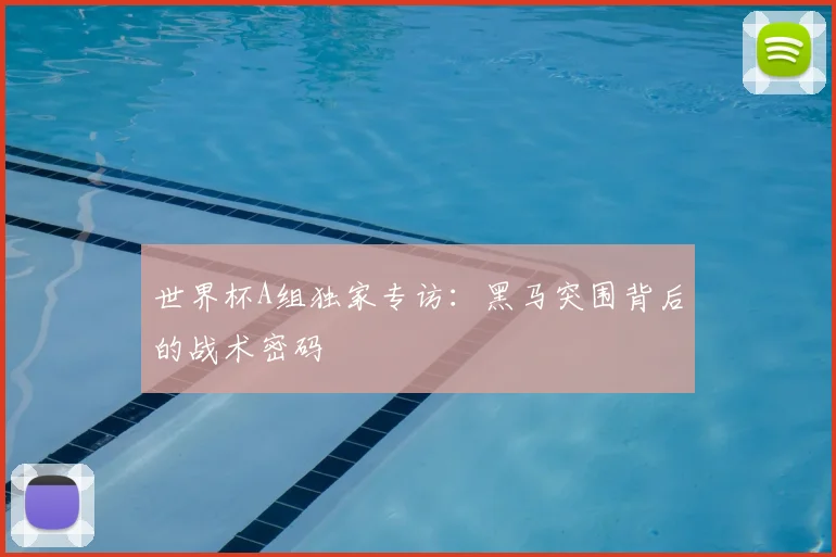 世界杯A组独家专访：黑马突围背后的战术密码