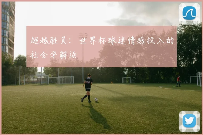 超越胜负：世界杯球迷情感投入的社会学解读