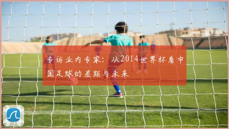 专访业内专家：从2014世界杯看中国足球的差距与未来