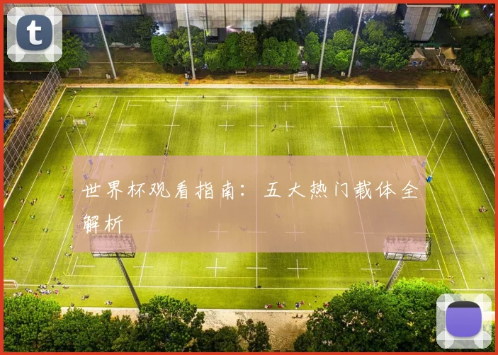 世界杯观看指南:五大热门载体全解析