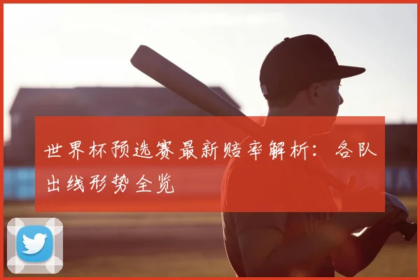 世界杯预选赛最新赔率解析：各队出线形势全览