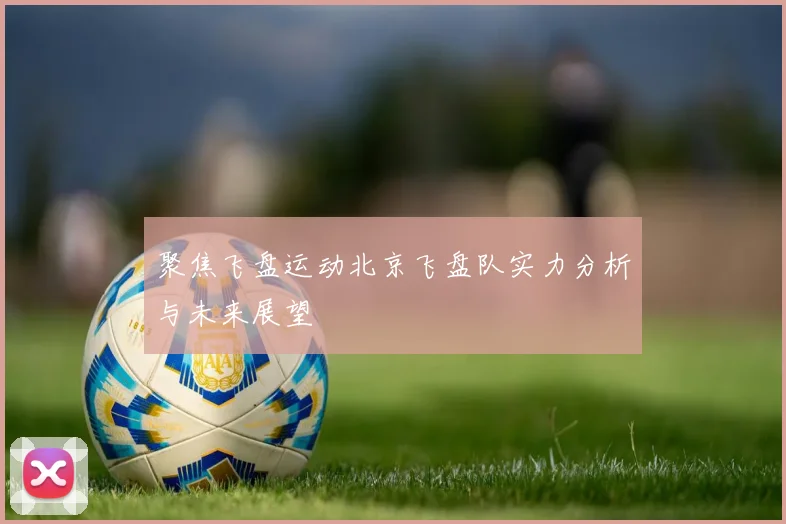 聚焦飞盘运动北京飞盘队实力分析与未来展望