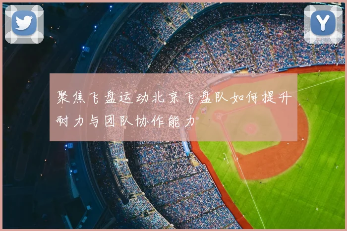 聚焦飞盘运动北京飞盘队如何提升耐力与团队协作能力