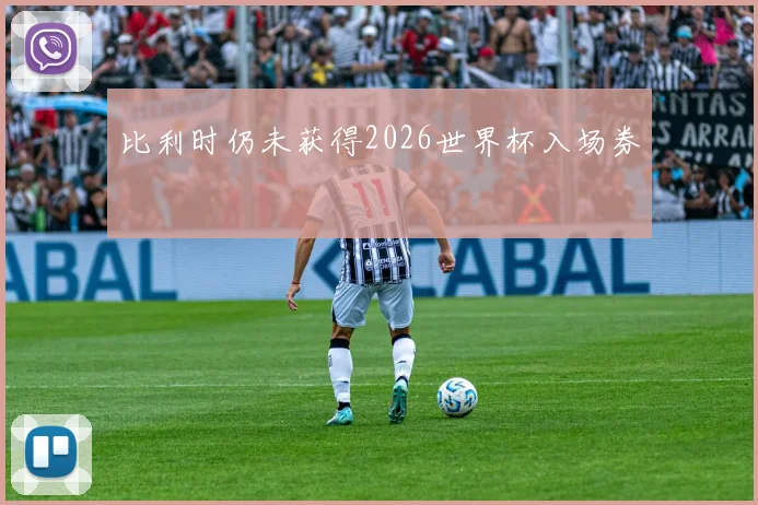 比利时仍未获得2026世界杯入场券