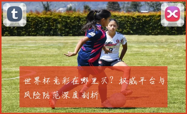 世界杯竞彩在哪里买？权威平台与风险防范深度剖析
