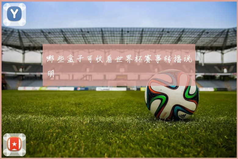 哪些盒子可收看世界杯赛事转播说明
